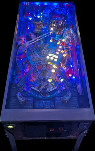 Cactus Canyon playfield