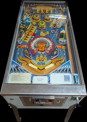 Shooting the Rapids playfield