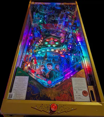 Harry Potter playfield