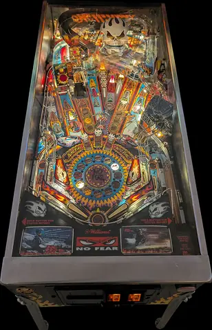 No Fear: Dangerous Sports playfield