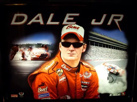 Dale Jr. backglass