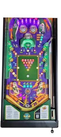 Eight Ball Fury playfield