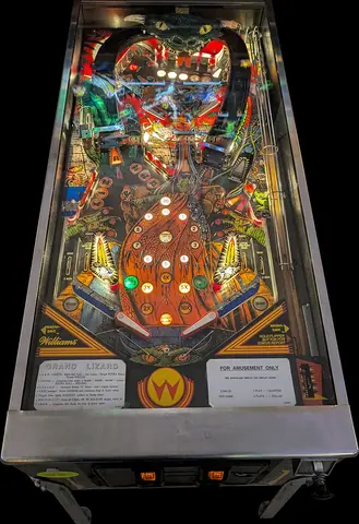 Grand Lizard playfield