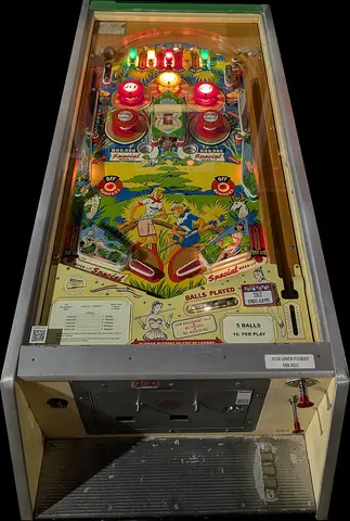 Jungle playfield