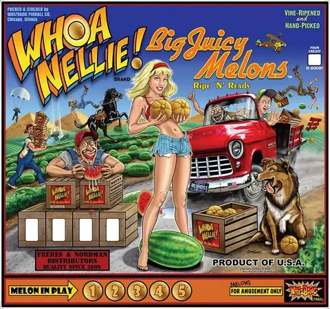 Whoa Nellie / PBR backglass