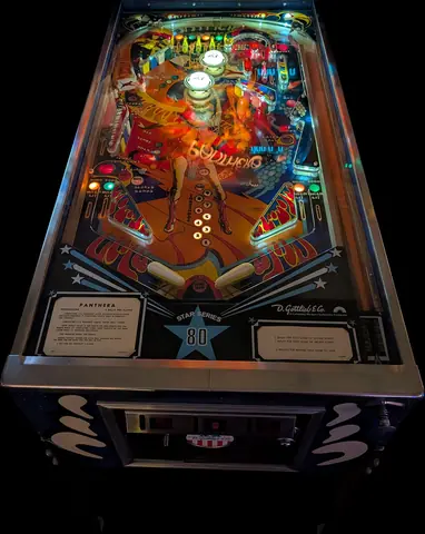 Panthera playfield