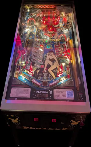 Playboy 35th Anniversary playfield