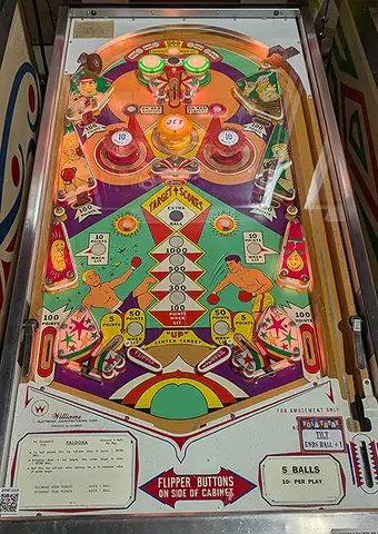 Palooka playfield