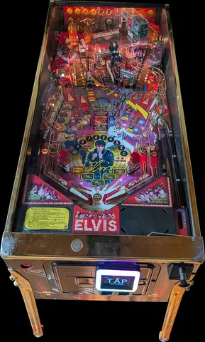 Elvis playfield