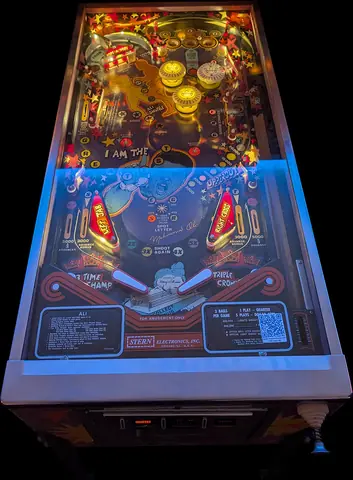 Ali playfield