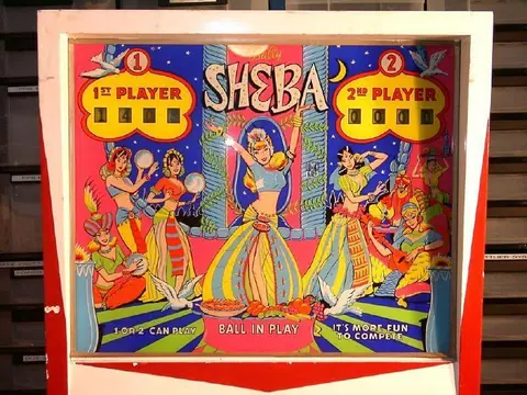 Gator / Sheba / Campus Queen backglass