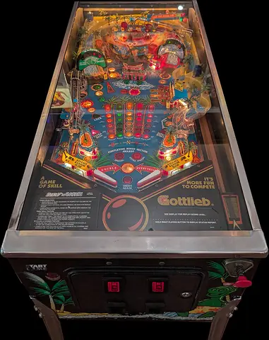 Surf 'n Safari playfield