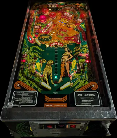 Cheetah playfield