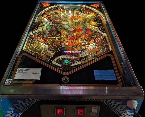 Shark playfield