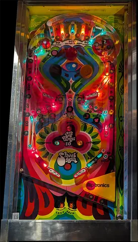 Flower's Child playfield