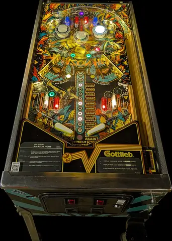 Amazon Hunt playfield