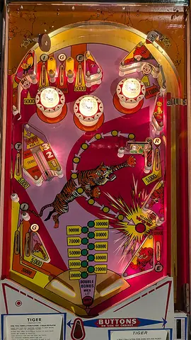 Tiger playfield