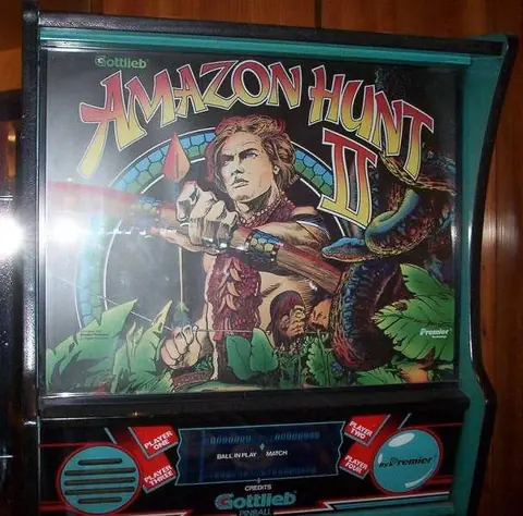 Amazon Hunt II backglass